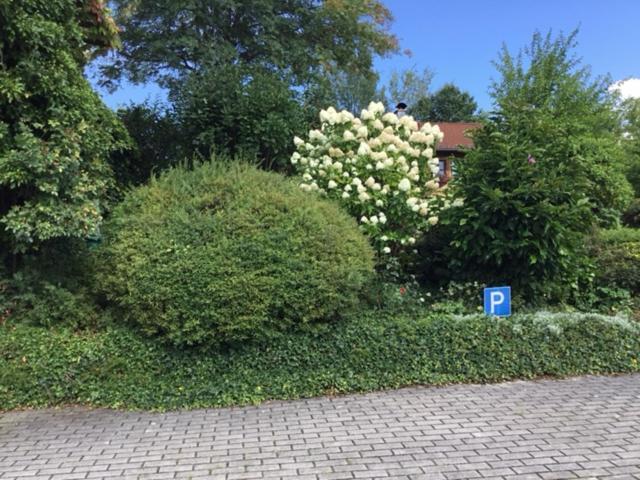 Bayerischer Wald - Balbersdorf Waffenbrunn Exterior foto
